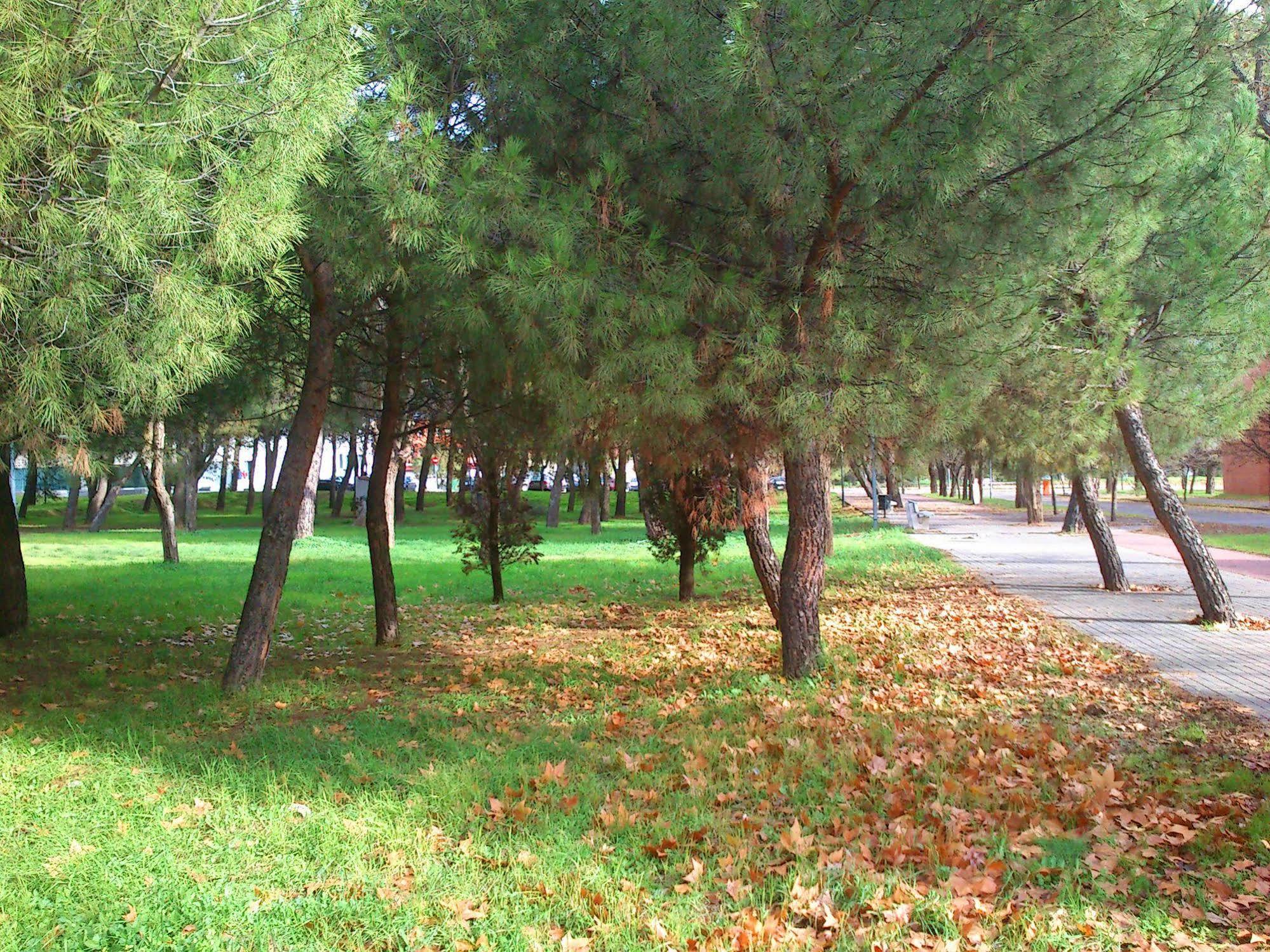 Residencia Universitaria Resa Giner De Los Rios Alcalá de Henares Екстериор снимка